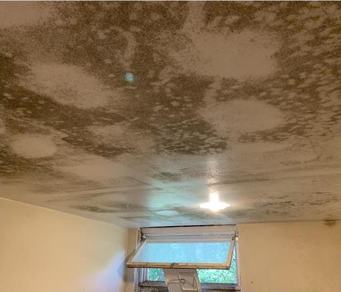 mold damage on a ceiling
