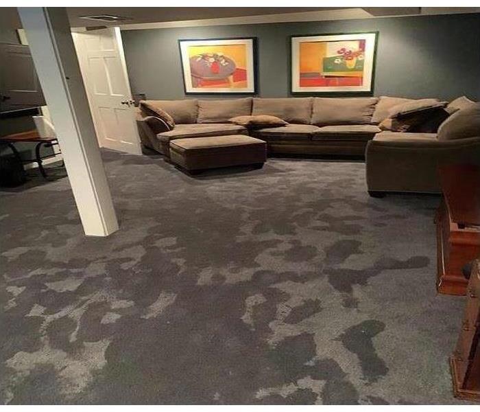 water spots on carpet in room, gray