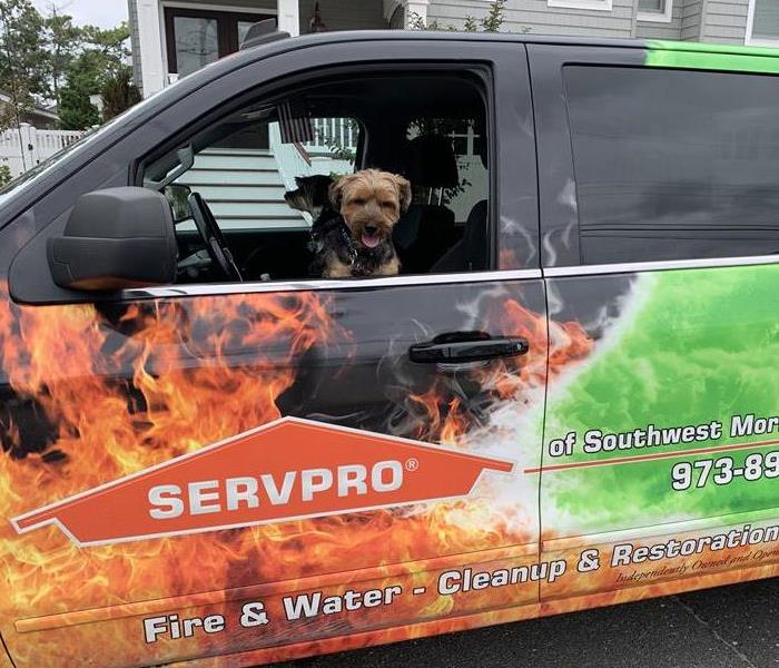 A SERVPRO truck parked in a driveway, with two dogs in it. 