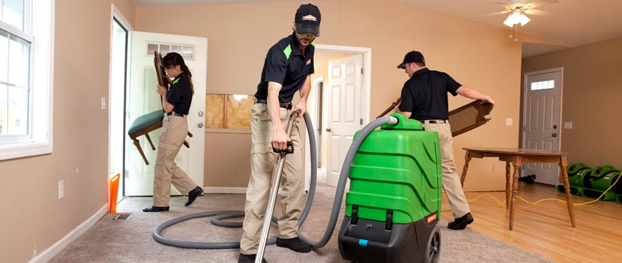 Randolph, NJ cleaning services